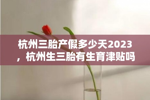 杭州三胎产假多少天2023，杭州生三胎有生育津贴吗