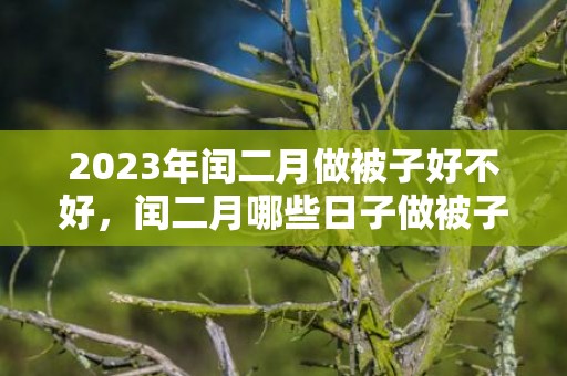 2023年闰二月做被子好不好，闰二月哪些日子做被子好