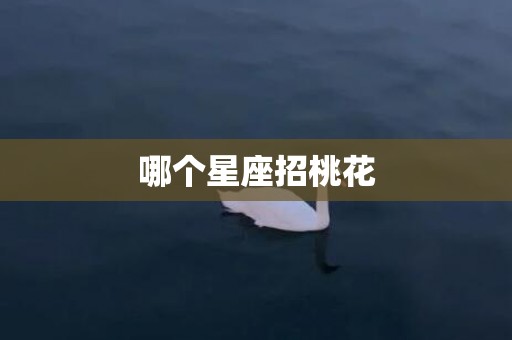 哪个星座招桃花