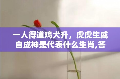 一人得道鸡犬升，虎虎生威自成神是代表什么生肖,答案曝光落实