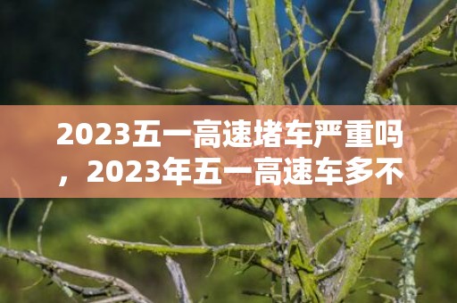 2023五一高速堵车严重吗，2023年五一高速车多不多