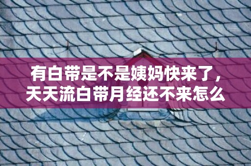 有白带是不是姨妈快来了，天天流白带月经还不来怎么回事