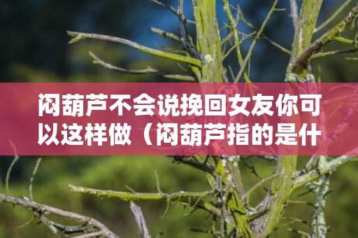 闷葫芦不会说挽回女友你可以这样做（闷葫芦指的是什么）