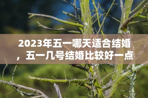 2023年五一哪天适合结婚，五一几号结婚比较好一点