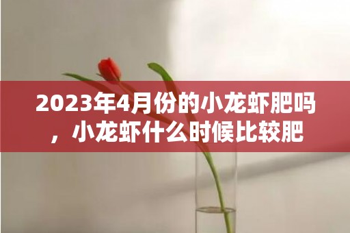 2023年4月份的小龙虾肥吗，小龙虾什么时候比较肥