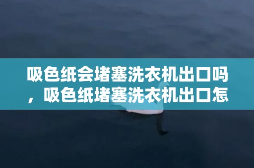 吸色纸会堵塞洗衣机出口吗，吸色纸堵塞洗衣机出口怎么办