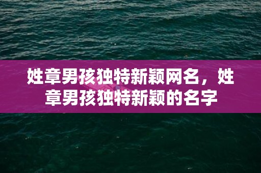 姓章男孩独特新颖网名，姓章男孩独特新颖的名字