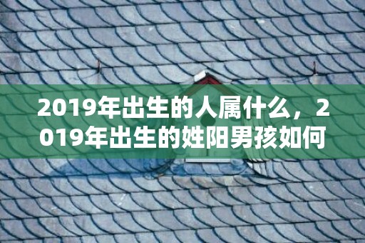 2019年出生的人属什么，2019年出生的姓阳男孩如何起名，宜用什么字