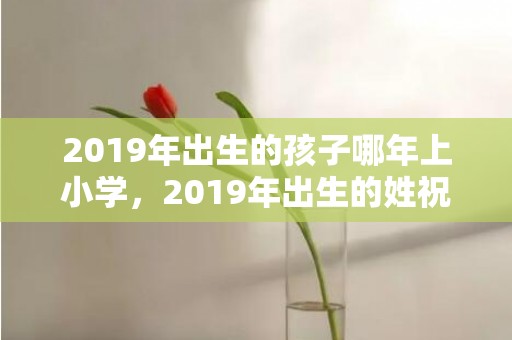 2019年出生的孩子哪年上小学，2019年出生的姓祝男孩如何起名，宜用什么字