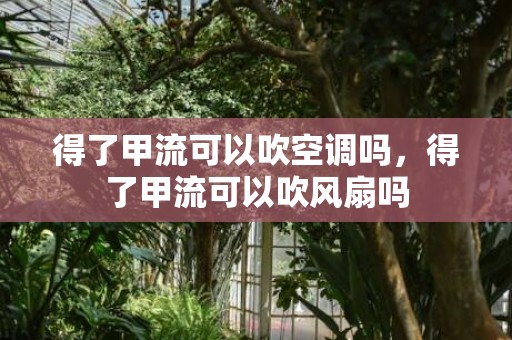 得了甲流可以吹空调吗，得了甲流可以吹风扇吗