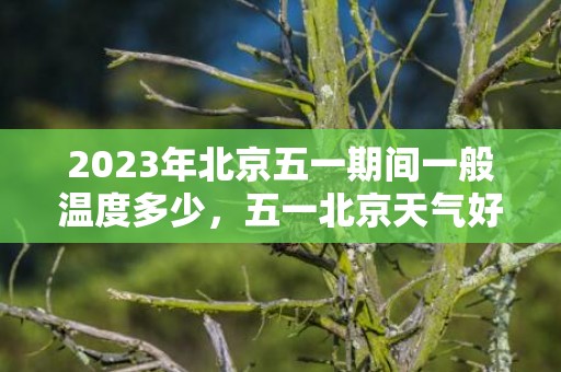 2023年北京五一期间一般温度多少，五一北京天气好吗