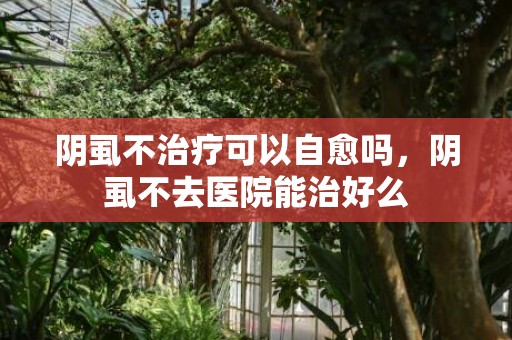 阴虱不治疗可以自愈吗，阴虱不去医院能治好么