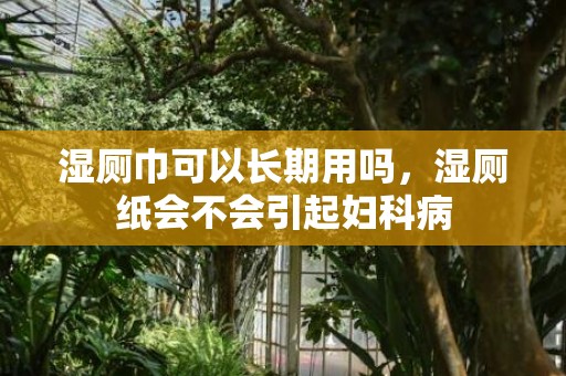 湿厕巾可以长期用吗，湿厕纸会不会引起妇科病