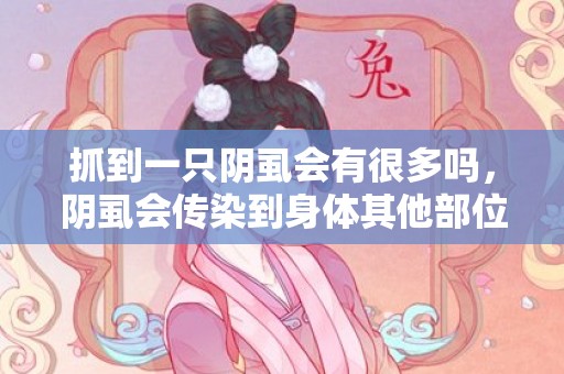 抓到一只阴虱会有很多吗，阴虱会传染到身体其他部位吗