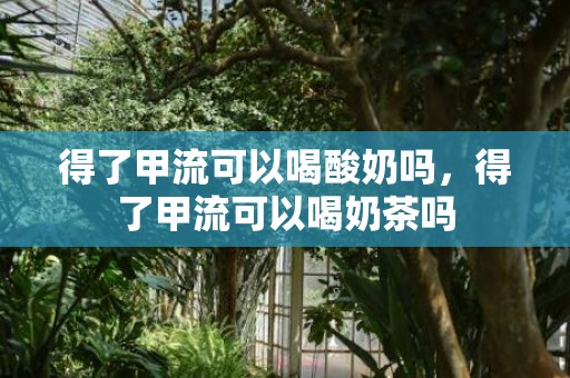 得了甲流可以喝酸奶吗，得了甲流可以喝奶茶吗