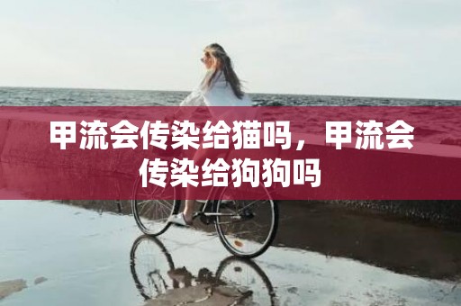 甲流会传染给猫吗，甲流会传染给狗狗吗