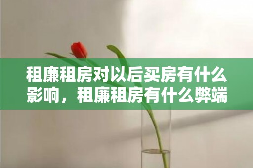 租廉租房对以后买房有什么影响，租廉租房有什么弊端