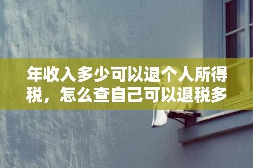 年收入多少可以退个人所得税，怎么查自己可以退税多少