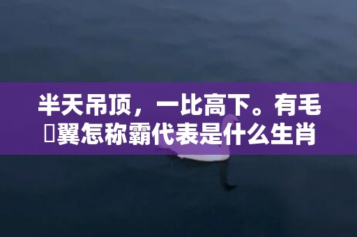 半天吊顶，一比高下。有毛冇翼怎称霸代表是什么生肖,答案曝光落实