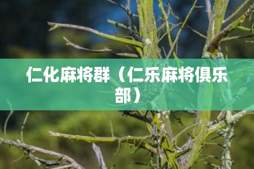 仁化麻将群（仁乐麻将俱乐部）