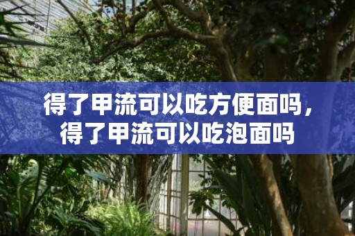 得了甲流可以吃方便面吗，得了甲流可以吃泡面吗