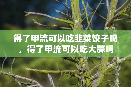 得了甲流可以吃韭菜饺子吗，得了甲流可以吃大蒜吗