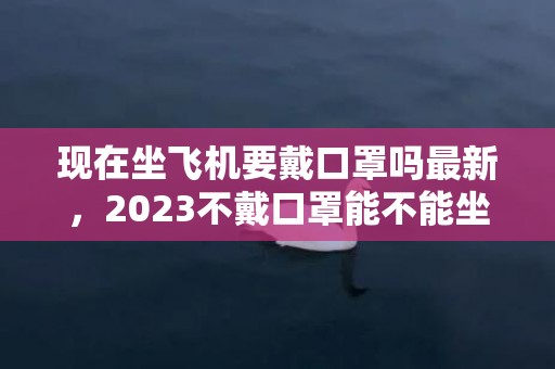 现在坐飞机要戴口罩吗最新，2023不戴口罩能不能坐飞机