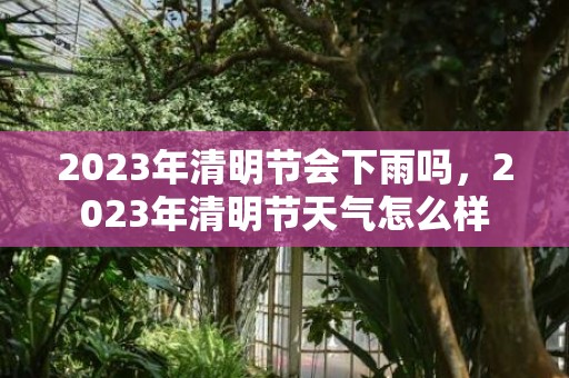 2023年清明节会下雨吗，2023年清明节天气怎么样