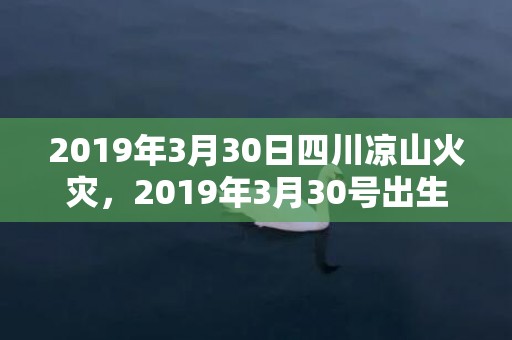 2019年3月30日四川凉山火灾，2019年3月30号出生的男宝宝五行缺木要如何起名字