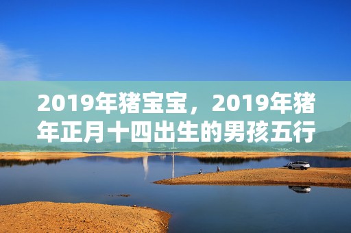 2019年猪宝宝，2019年猪年正月十四出生的男孩五行缺土的名字宝典大全