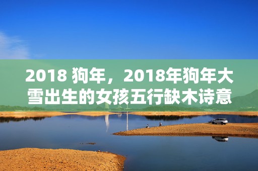 2018 狗年，2018年狗年大雪出生的女孩五行缺木诗意名字推荐