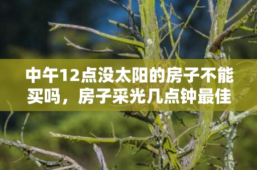 中午12点没太阳的房子不能买吗，房子采光几点钟最佳