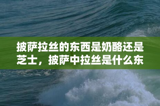 披萨拉丝的东西是奶酪还是芝士，披萨中拉丝是什么东西