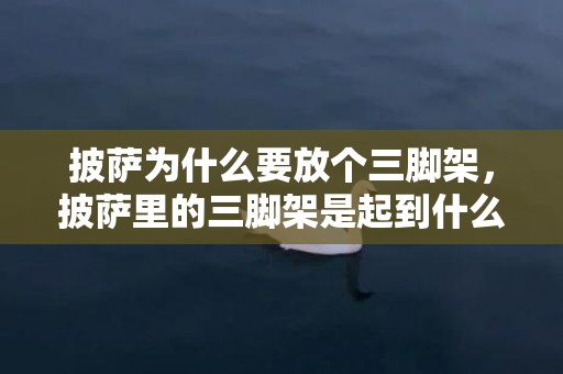 披萨为什么要放个三脚架，披萨里的三脚架是起到什么作用的