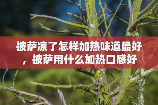 披萨凉了怎样加热味道最好，披萨用什么加热口感好