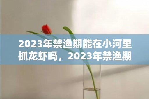 2023年禁渔期能在小河里抓龙虾吗，2023年禁渔期时间是多久