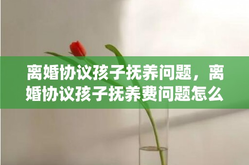 离婚协议孩子抚养问题，离婚协议孩子抚养费问题怎么写(离婚后孩子的抚养费怎么算)