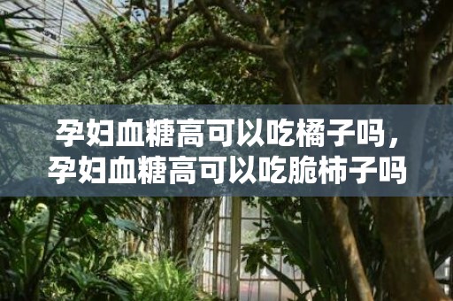 孕妇血糖高可以吃橘子吗，孕妇血糖高可以吃脆柿子吗，新鲜柿子怎么催熟