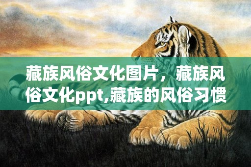 藏族风俗文化图片，藏族风俗文化ppt,藏族的风俗习惯