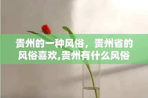 贵州的一种风俗，贵州省的风俗喜欢,贵州有什么风俗?