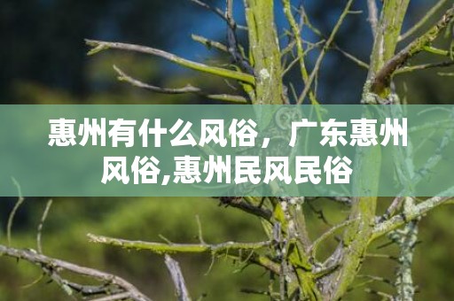 惠州有什么风俗，广东惠州风俗,惠州民风民俗