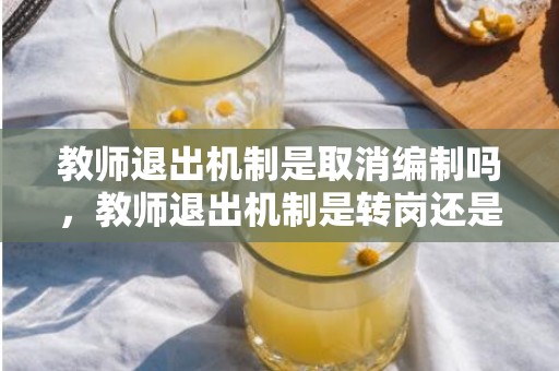 教师退出机制是取消编制吗，教师退出机制是转岗还是退编