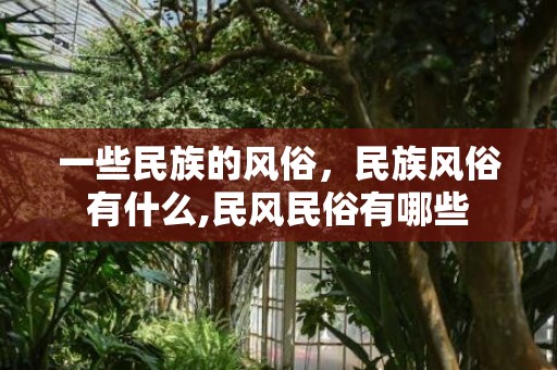 一些民族的风俗，民族风俗有什么,民风民俗有哪些