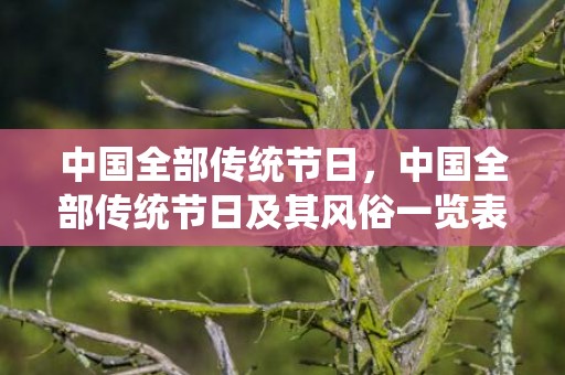 中国全部传统节日，中国全部传统节日及其风俗一览表,中国16个传统节日和风俗