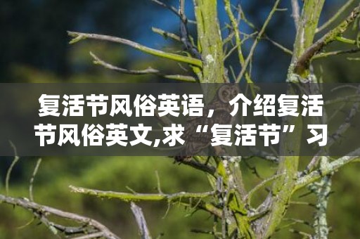 复活节风俗英语，介绍复活节风俗英文,求“复活节”习俗英文版