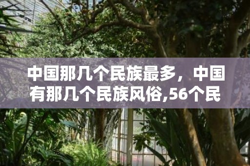 中国那几个民族最多，中国有那几个民族风俗,56个民族各自的风俗