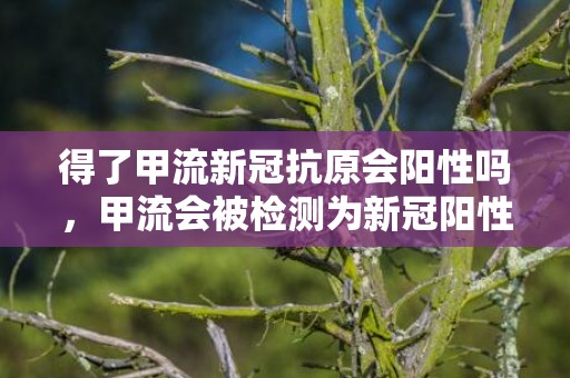 得了甲流新冠抗原会阳性吗，甲流会被检测为新冠阳性吗