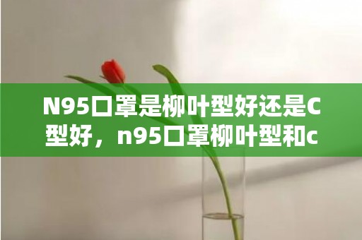 N95口罩是柳叶型好还是C型好，n95口罩柳叶型和c型哪个舒服