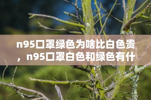 n95口罩绿色为啥比白色贵，n95口罩白色和绿色有什么区别