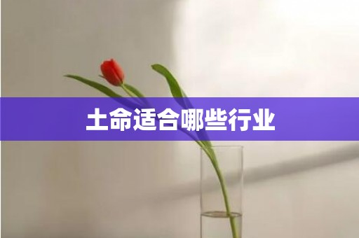 土命适合哪些行业